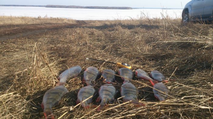 Береговое Сезон Закрыл...