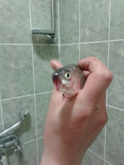 Плотва в шоке