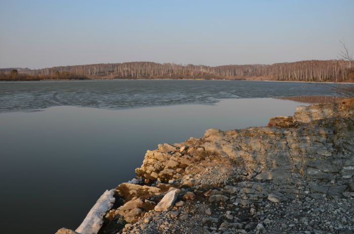 Просыпается природа.