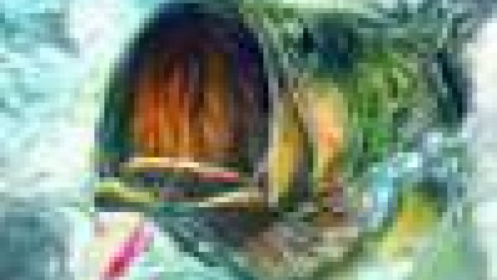 Конкурс: лучшая фотография с окунем или щукой