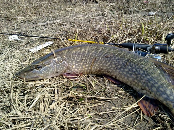 Мормышинг. 3 кг.