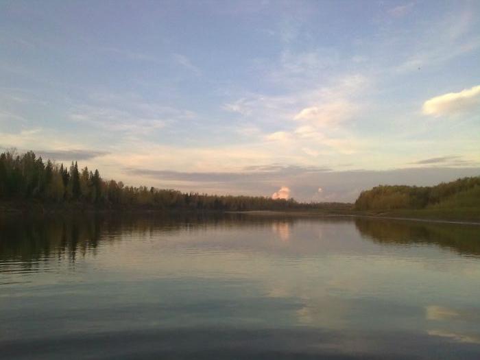 Чулым