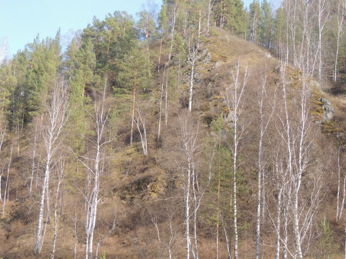 скалы по руслу реки бердь