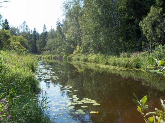 томская оласть р базойка в 20 км от села базой