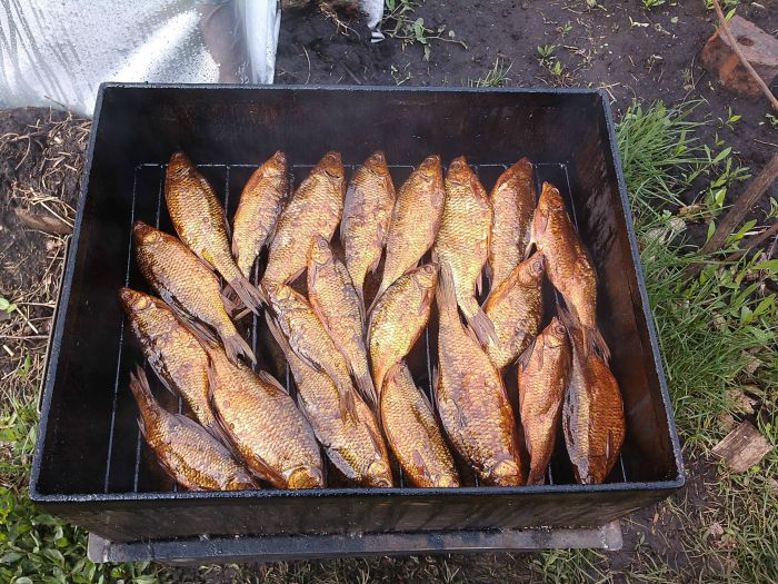 Плотвичка с ЖБИ.