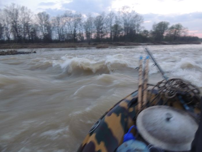 р.бердь