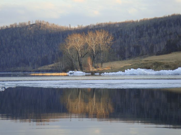 Парное.