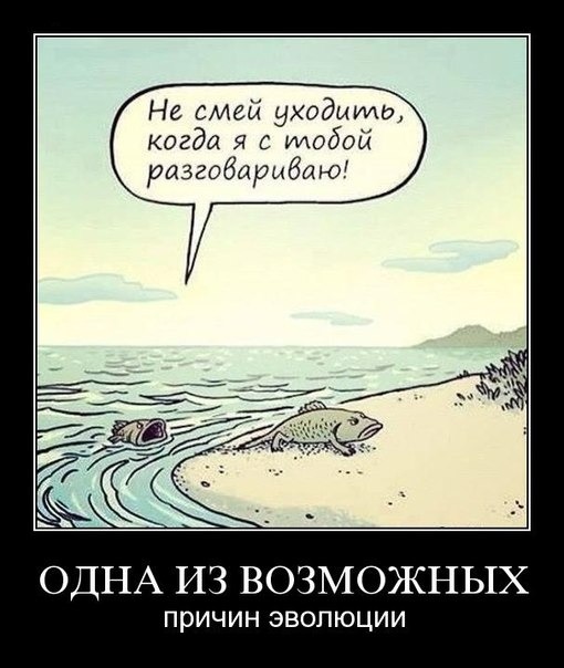 Бегом из дома на рыбалку!