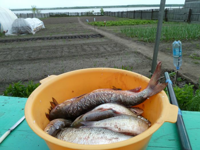Спирино Дача