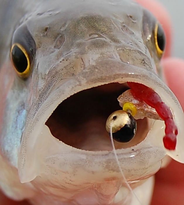 Взгляд