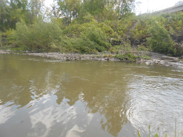 Тулка