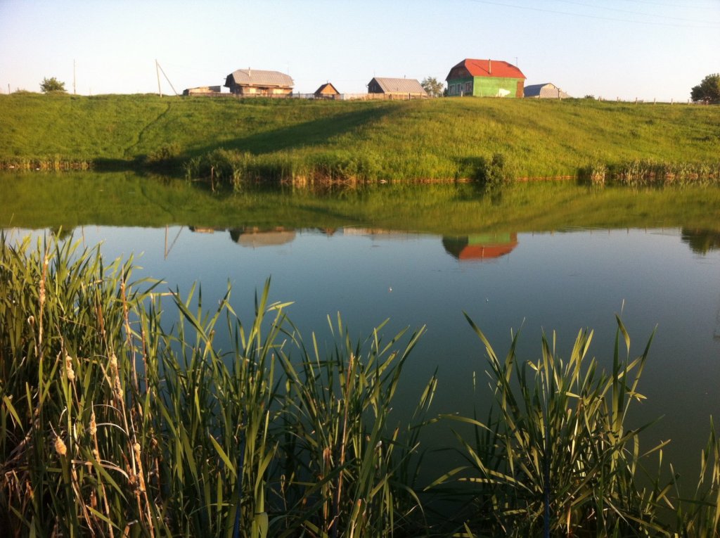 Водоем в Коченево