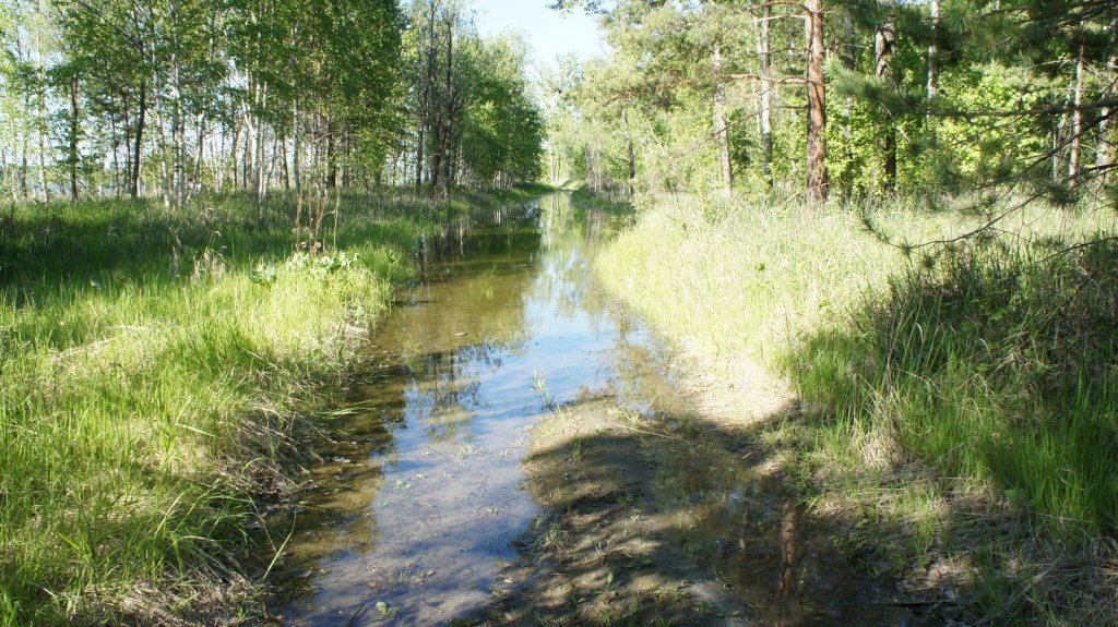 Заезд и выезд с парома .Ташара.
