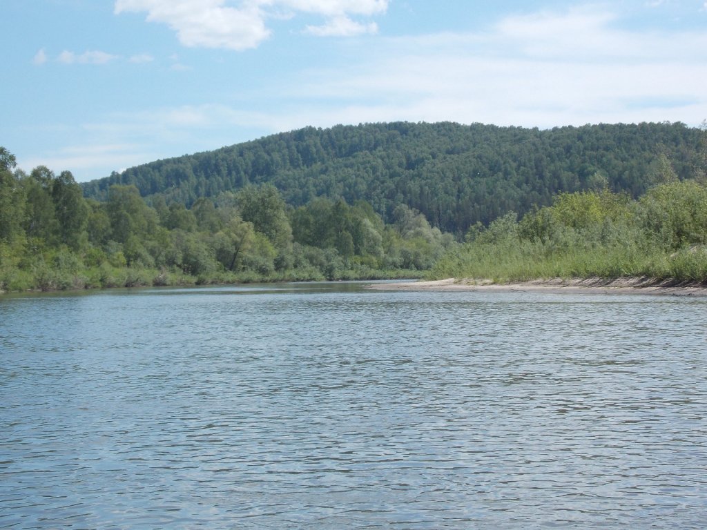 р.Бердь близ с.Кинтереп