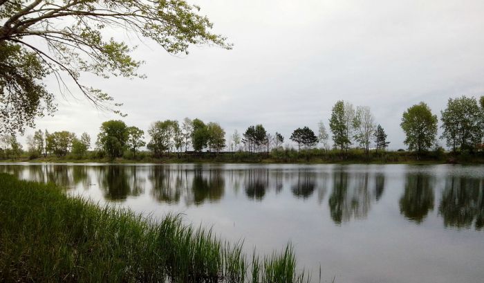 На Курье.