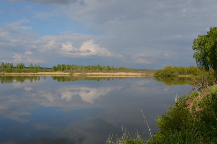 кроводановка 1
