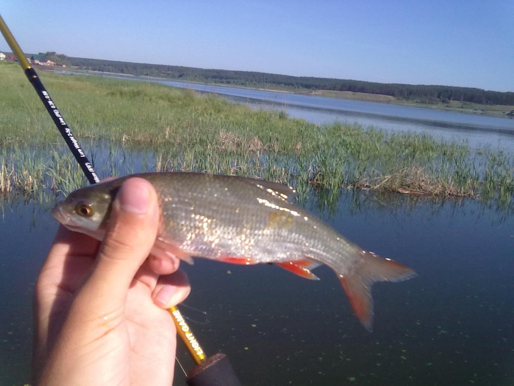 мормышинг
