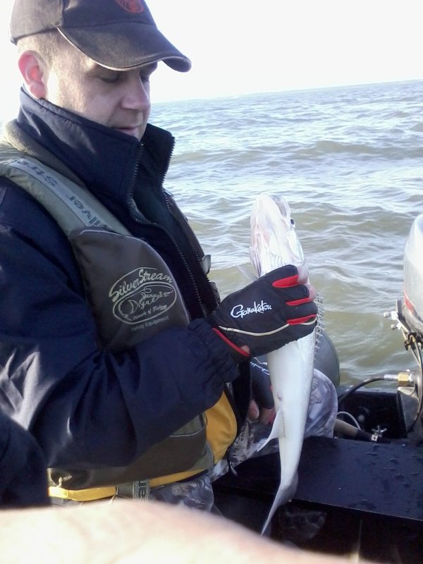 открытие сезона на море