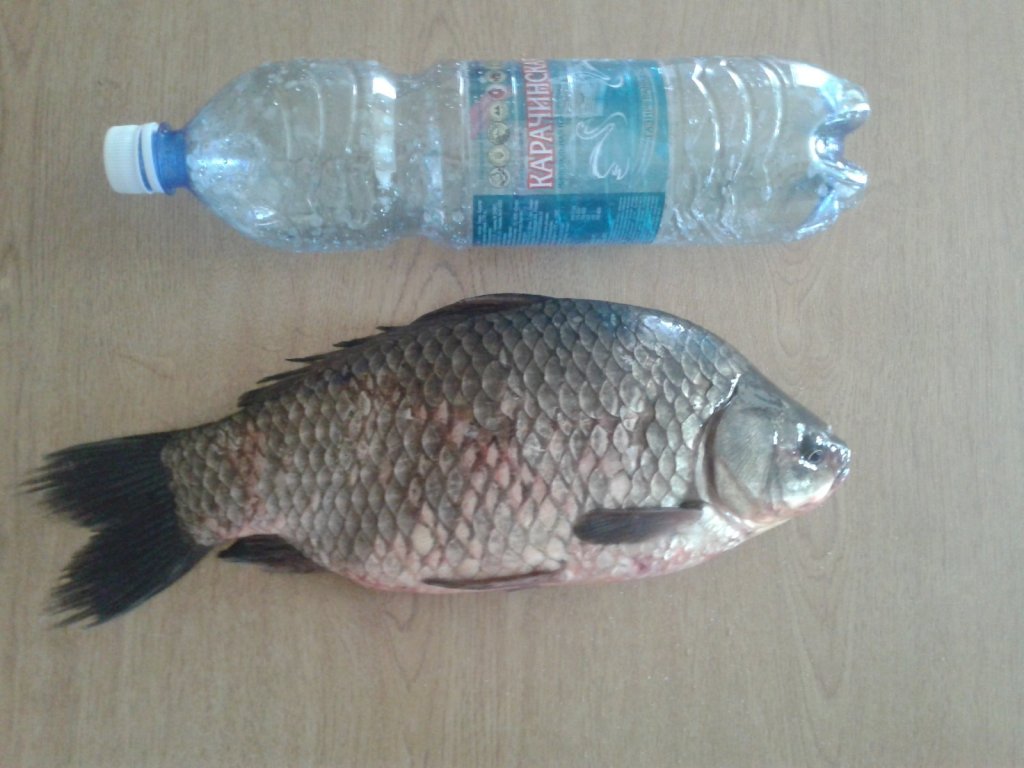 Мой рекорд! 1200гр)