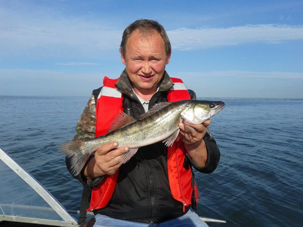 Судачки с ОВХ 23.07.2014