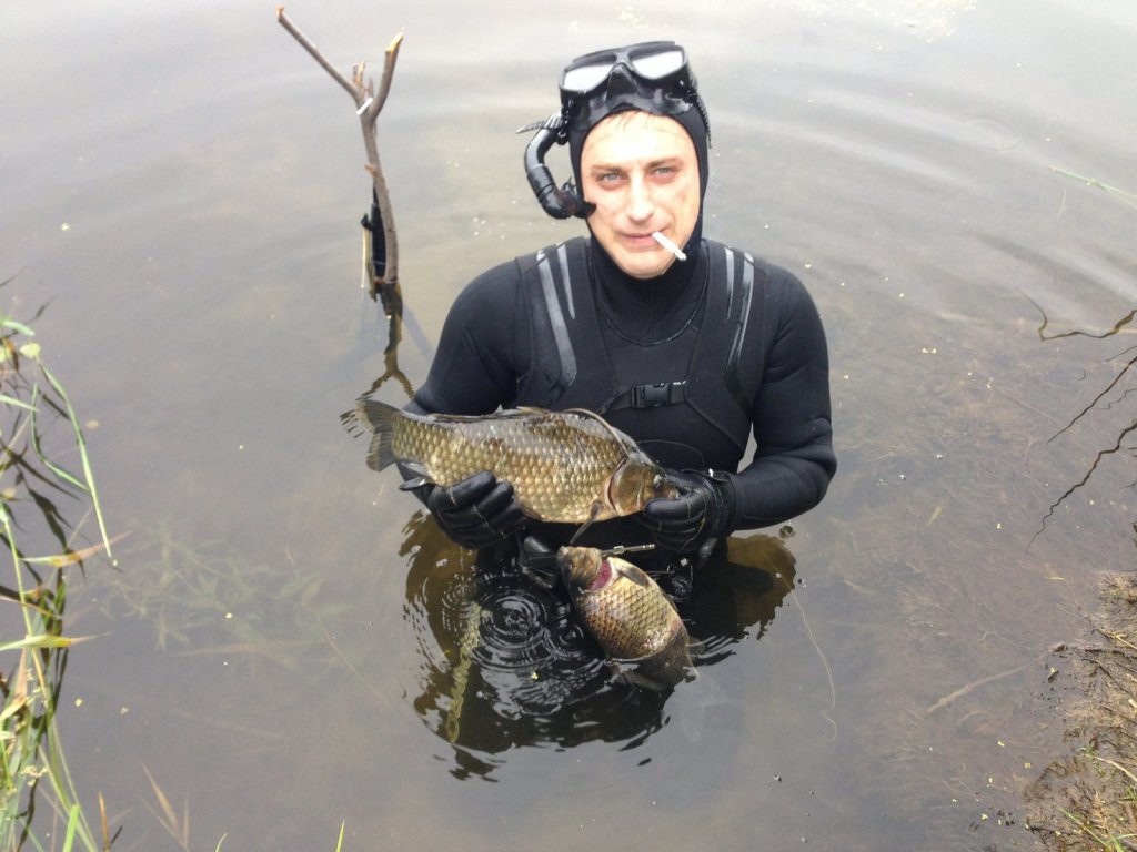 КАРАСЬ