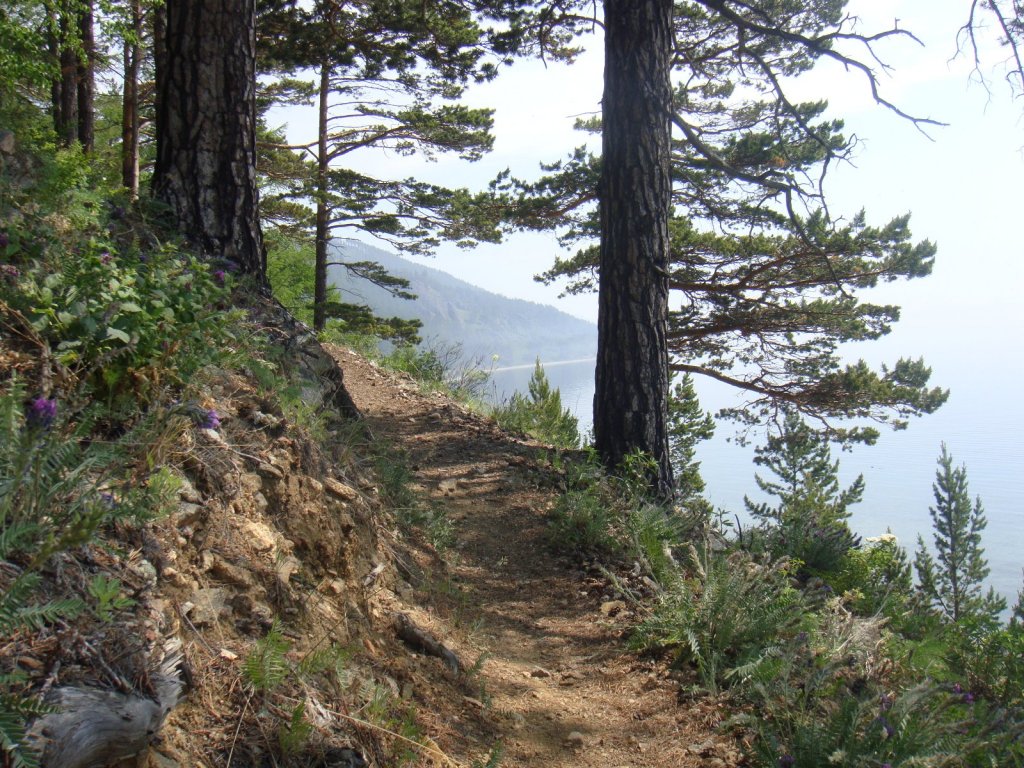 Байкальская тропа.