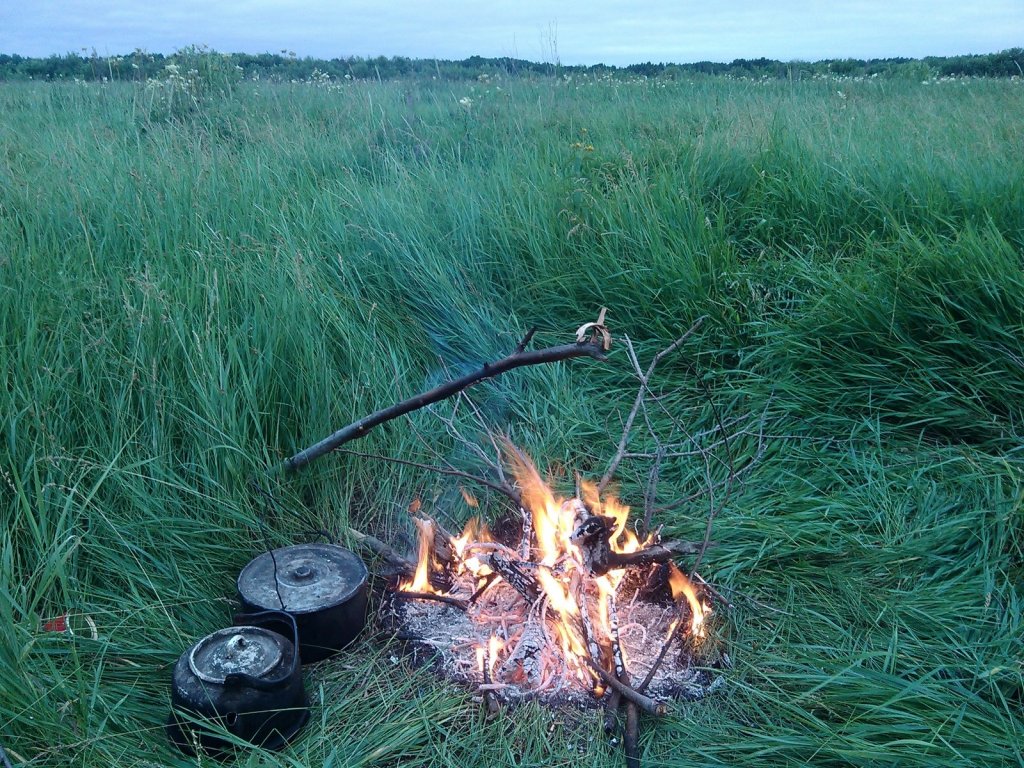 каргатский р-н