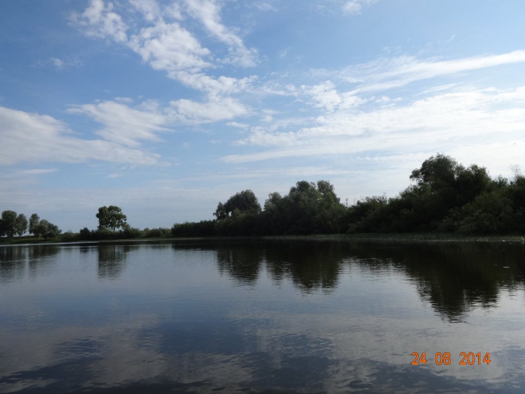 Река Чаус