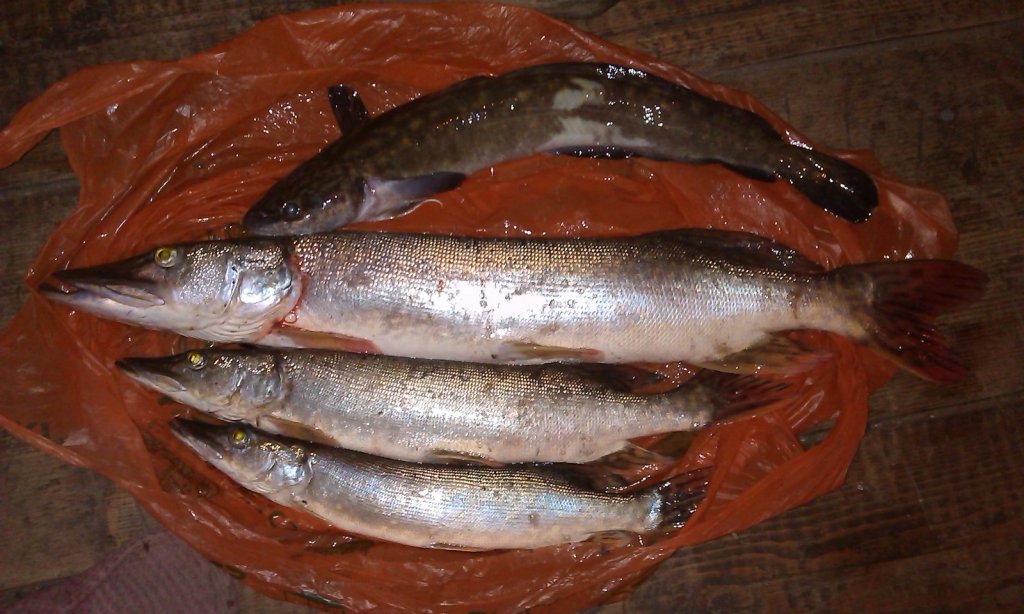 самая крупная, на 1кг ровно.