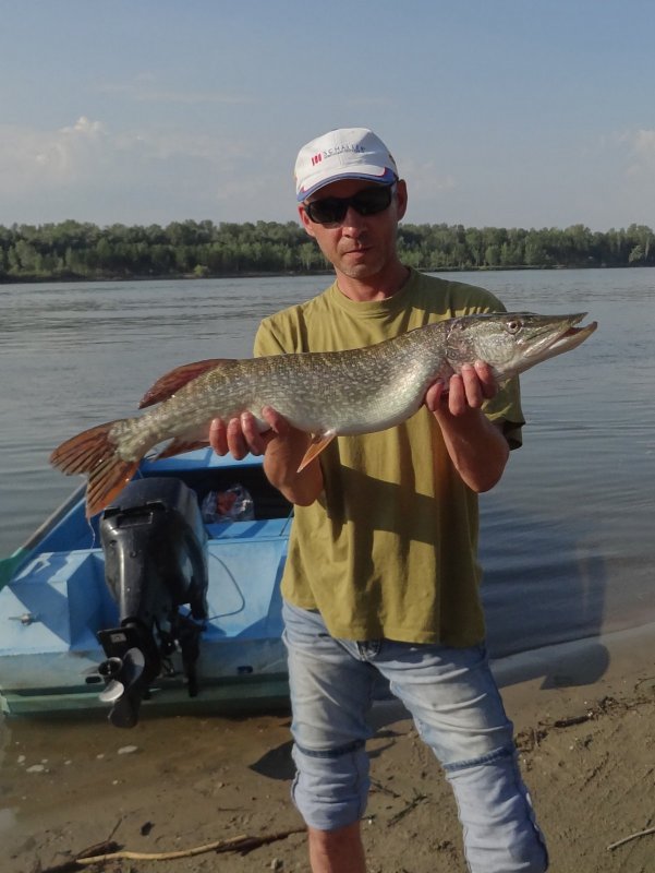 3,5 кг по утру