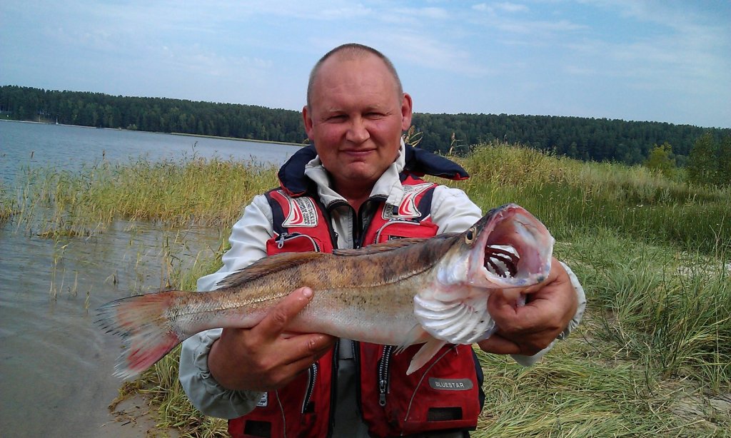 утро на БЗ