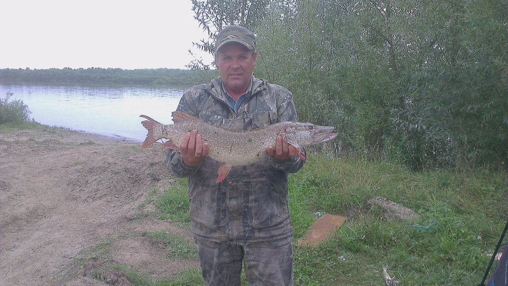 4 кг счастья