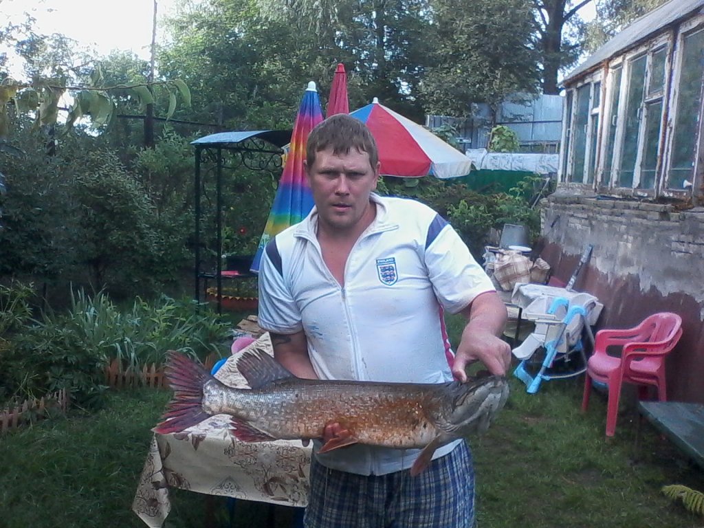 вес 14 200