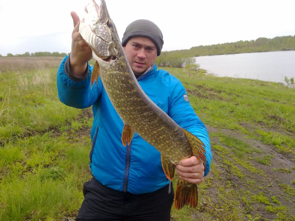 GREEDY GUNTS PONTOON 21 - И  ВАМ УЛОВ ОБЕСПЕЧЕН !!!