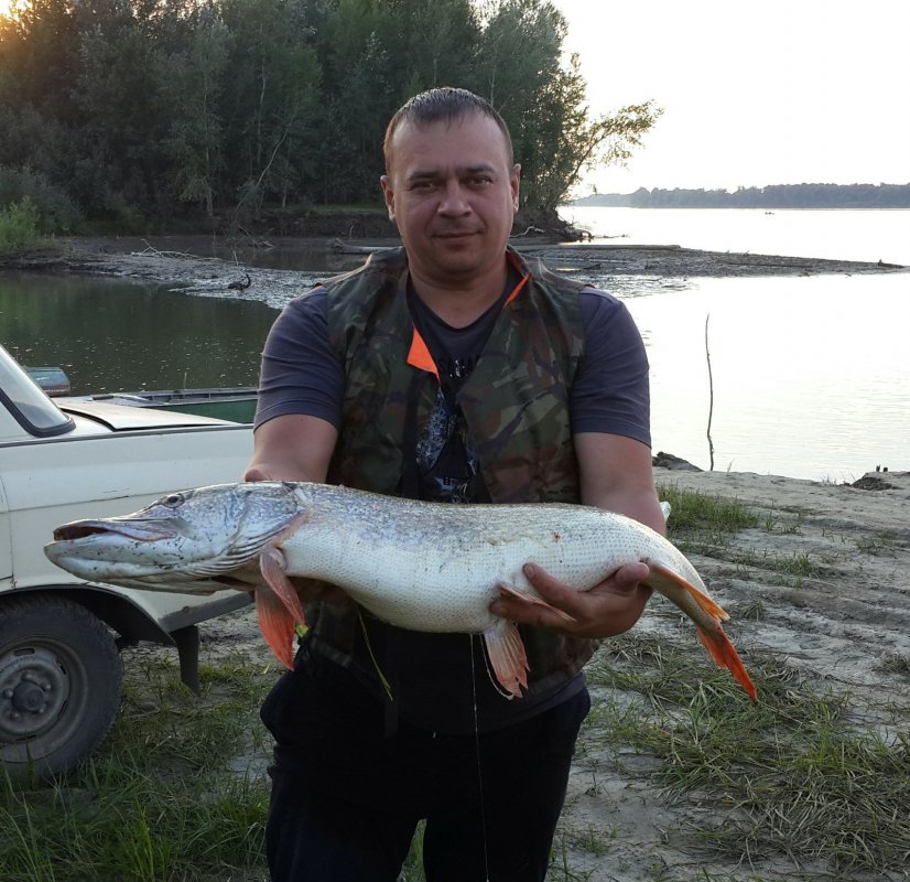 6.6кг