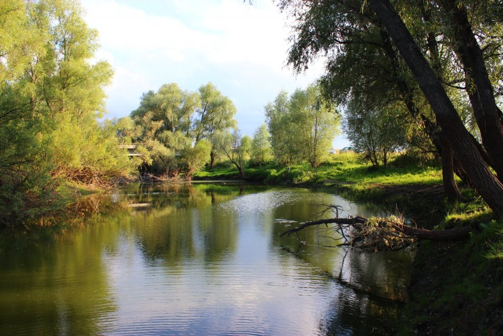 уень