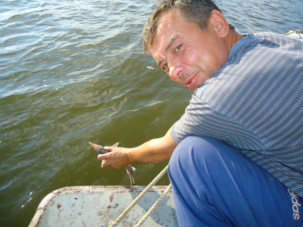 Отпускаем. принципиально.