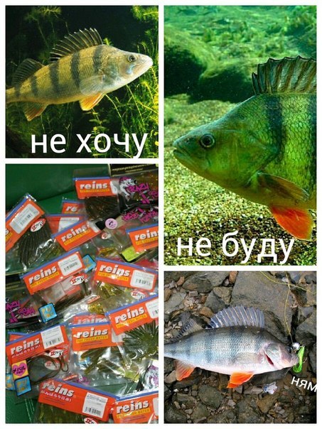 Из интернета
