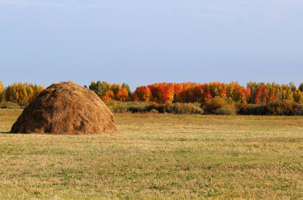 Золотая осень