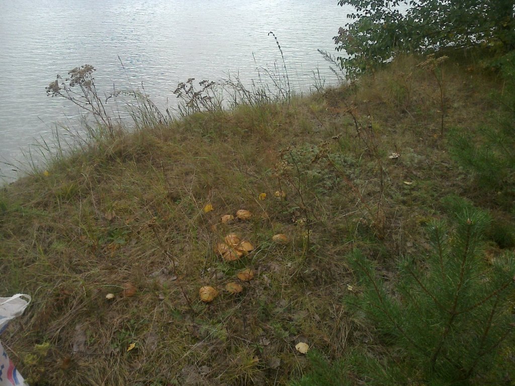 дары природы