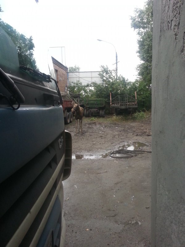 Забежал с утра на огонек