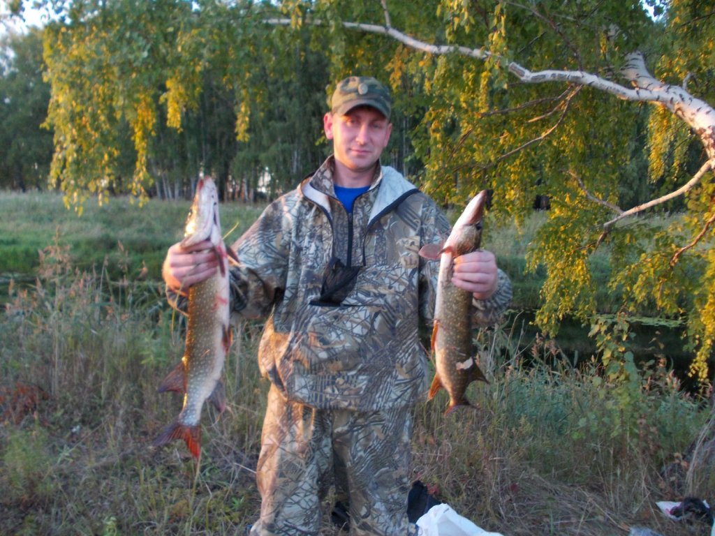 Шнурки с Каргата