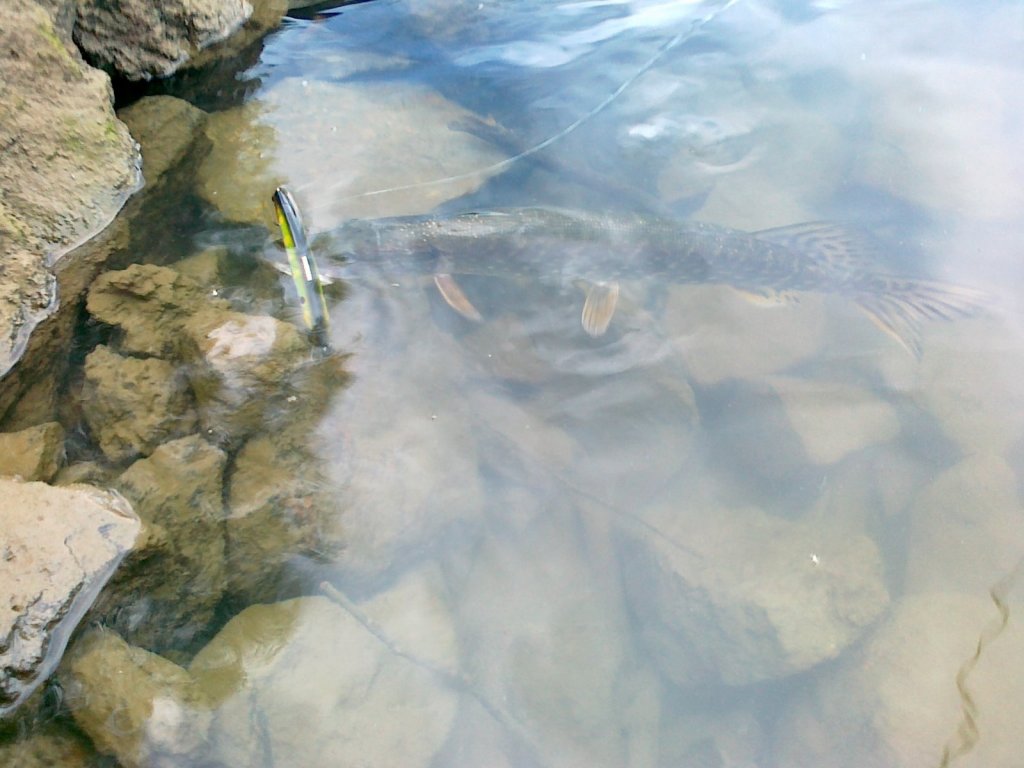 Красавицы2