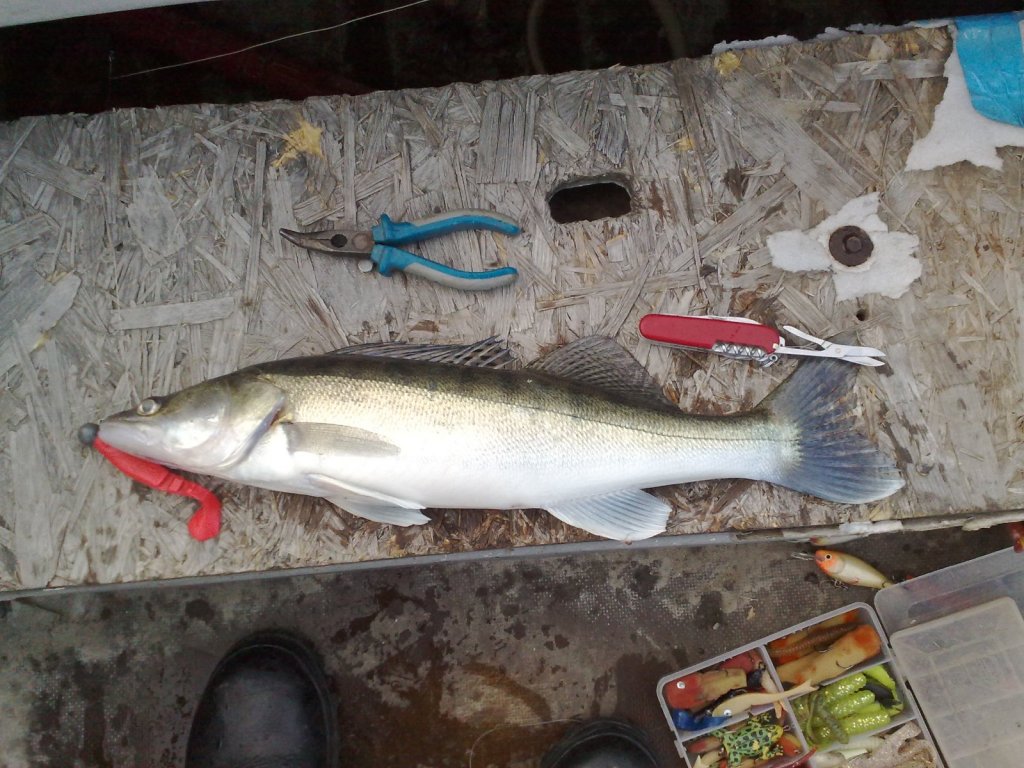 Городской,вечерний...