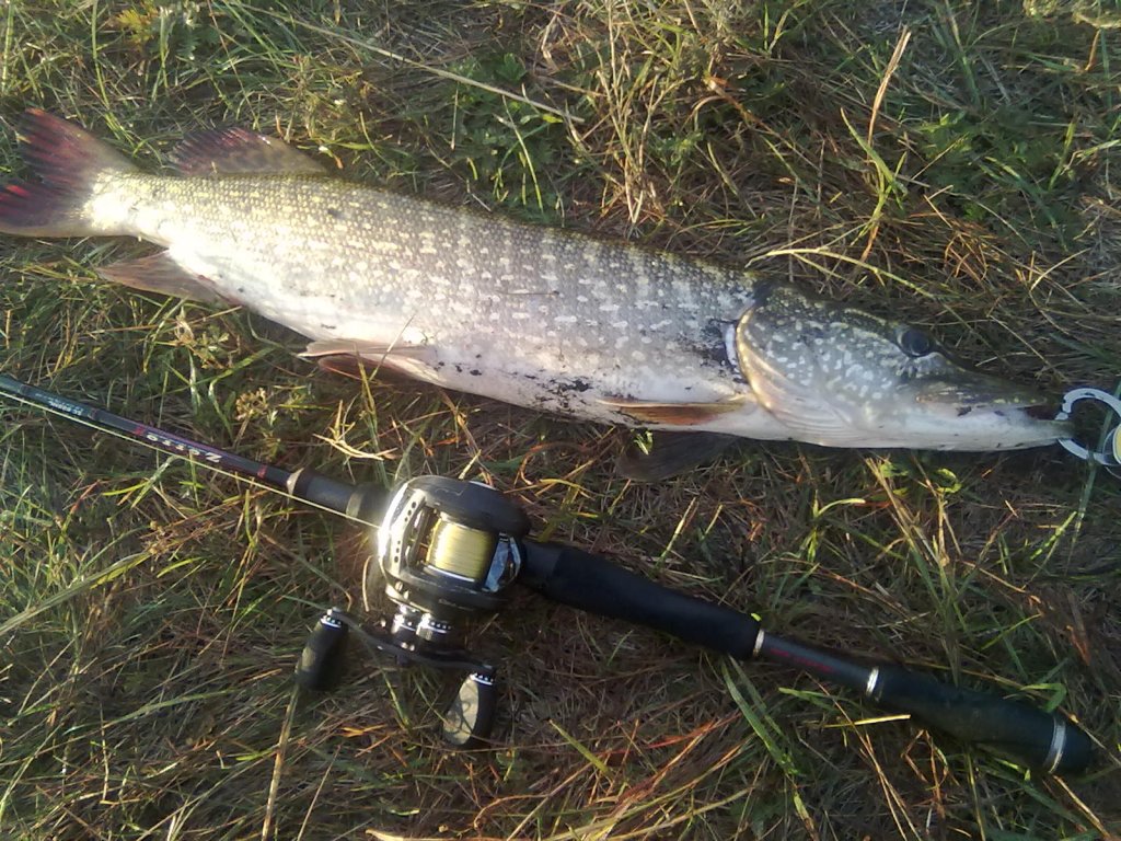 Самая мордатая)))