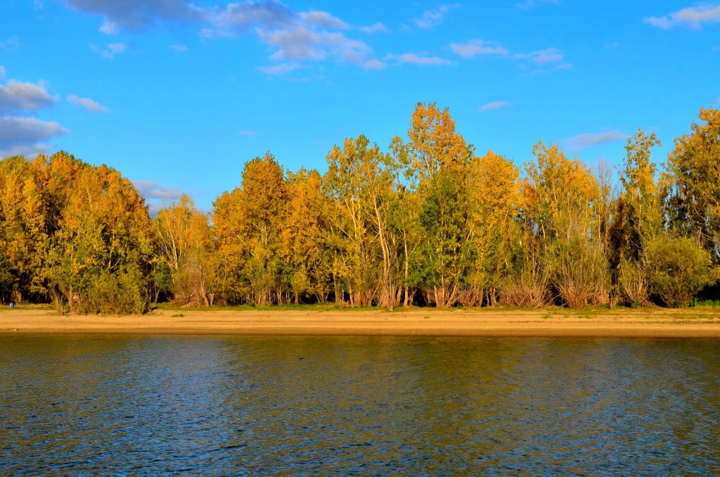 Золотая осень