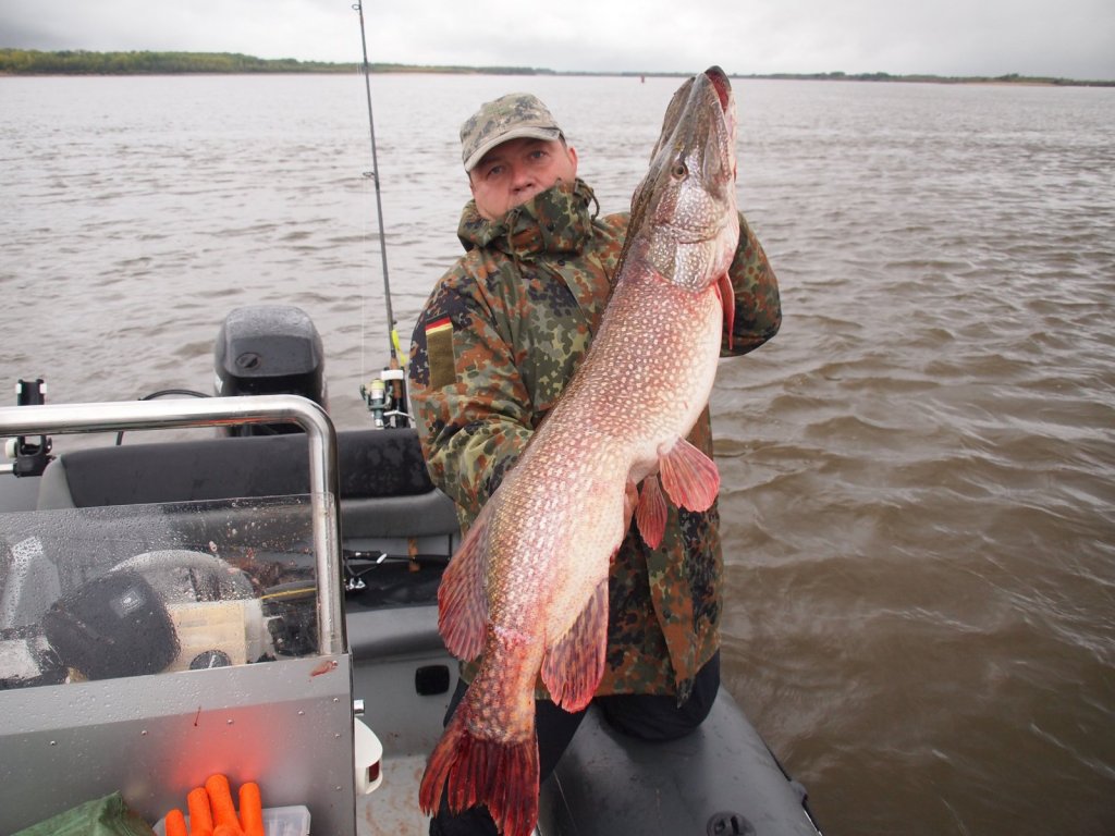 10,78кг 1,10см Спин Rivolta Grist-772ML катушка Daiwa R"NESSA Oir 2500, шнур PP 0,19мм, твистер салат 7мм