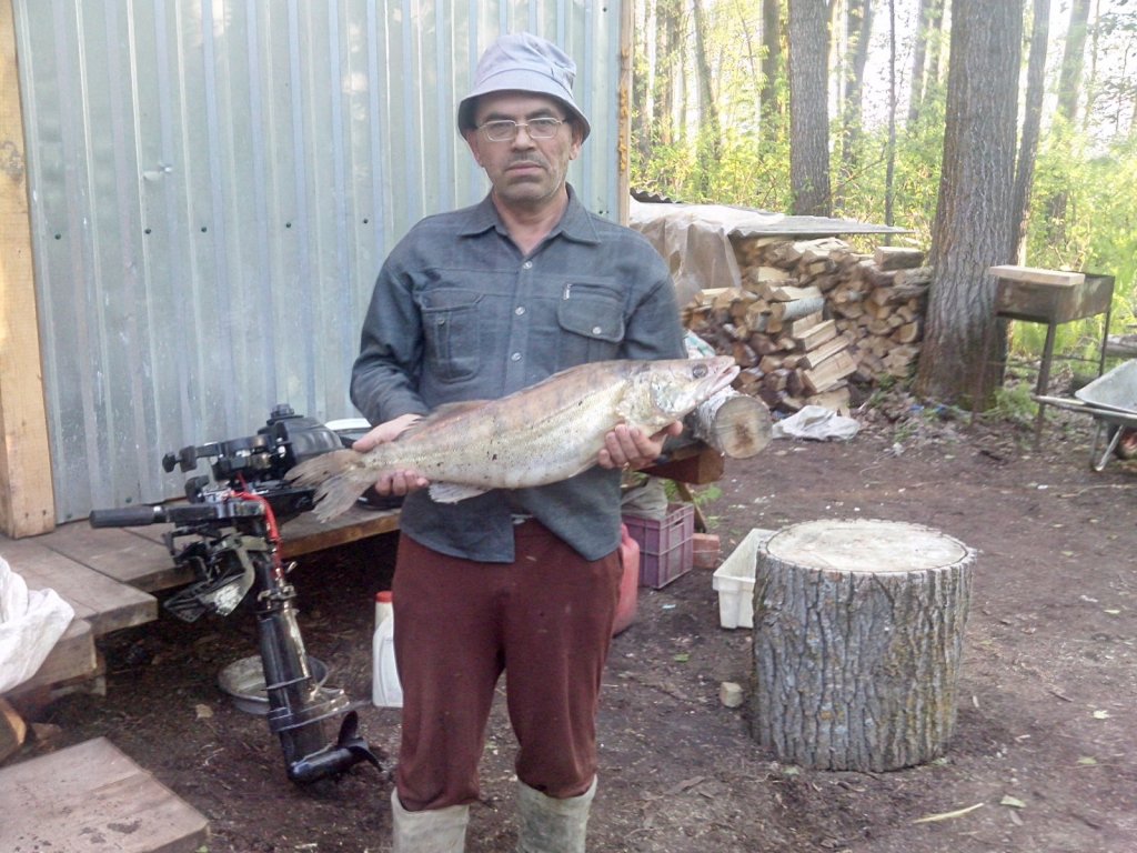 5 кило