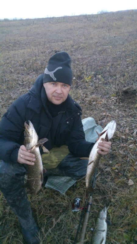 травяночки
