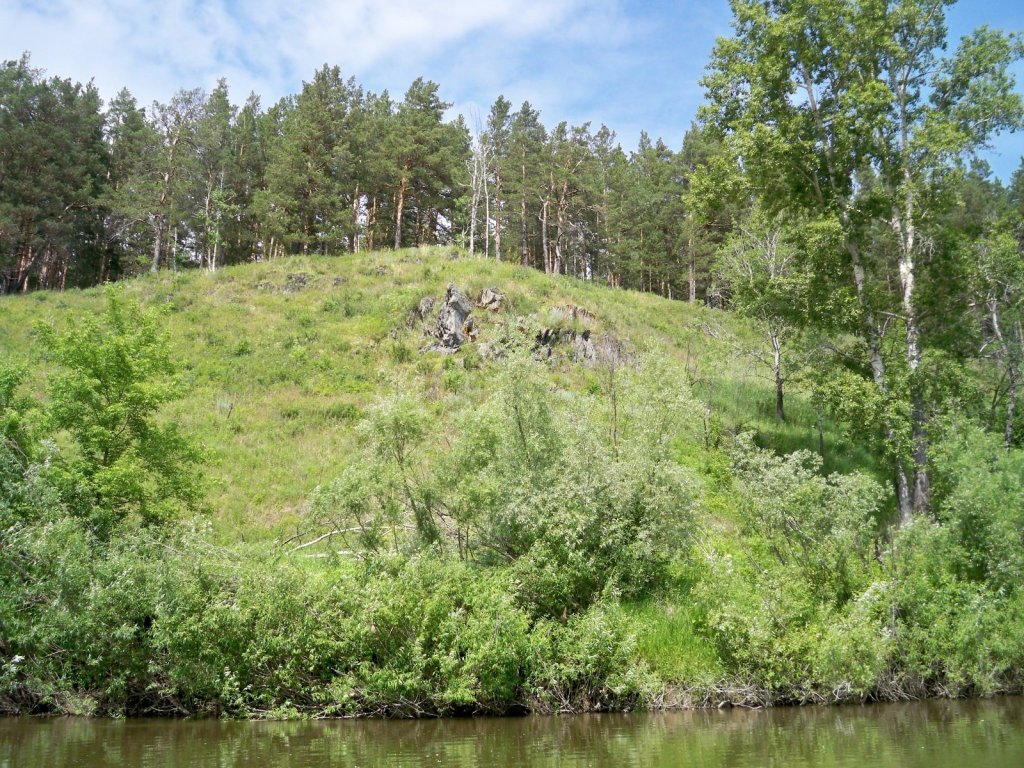 Скалки
